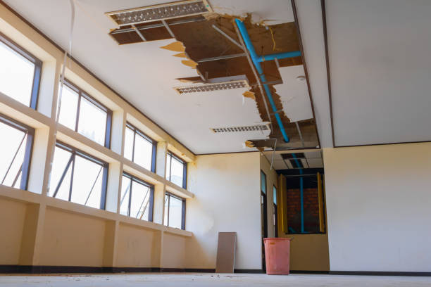 Best Local water damage restoration  in Boscobel, WI