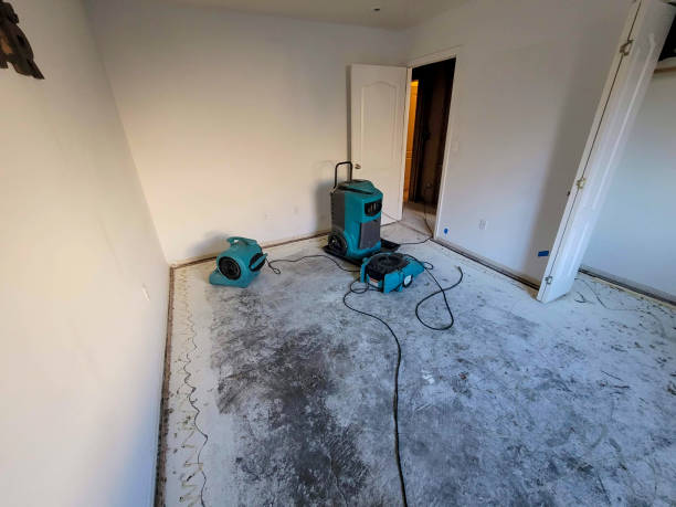 Best Basement water damage restoration  in Boscobel, WI