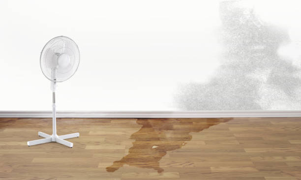 Best Water damage cleanup near me  in Boscobel, WI