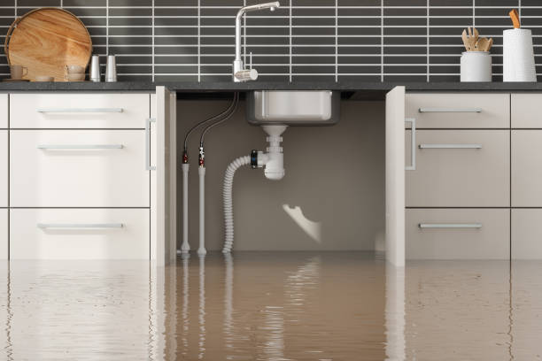 Best Flooded house restoration  in Boscobel, WI