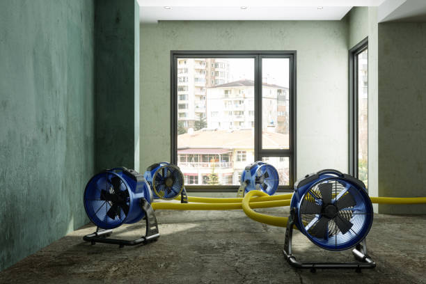Best Flood restoration services  in Boscobel, WI